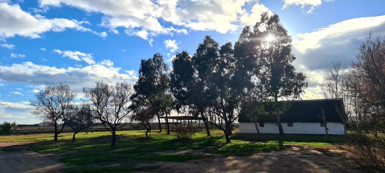 Lo Trabucador * El Poble Nou del Delta